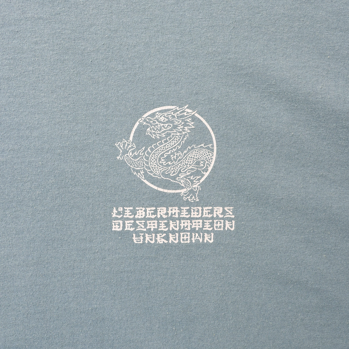 Liberaiders DRAGON L/S TEE リベレイダース ドラゴン ロングスリーブTシャツ 735042603【メンズ 長袖Tシャツ ロンT  天竺生地 グラフィック プリントデザイン 26FW】