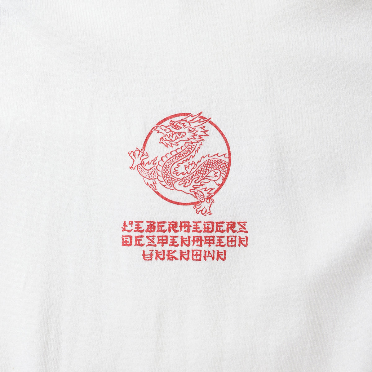 Liberaiders DRAGON L/S TEE リベレイダース ドラゴン ロングスリーブTシャツ 735042603【メンズ 長袖Tシャツ ロンT  天竺生地 グラフィック プリントデザイン 26FW】