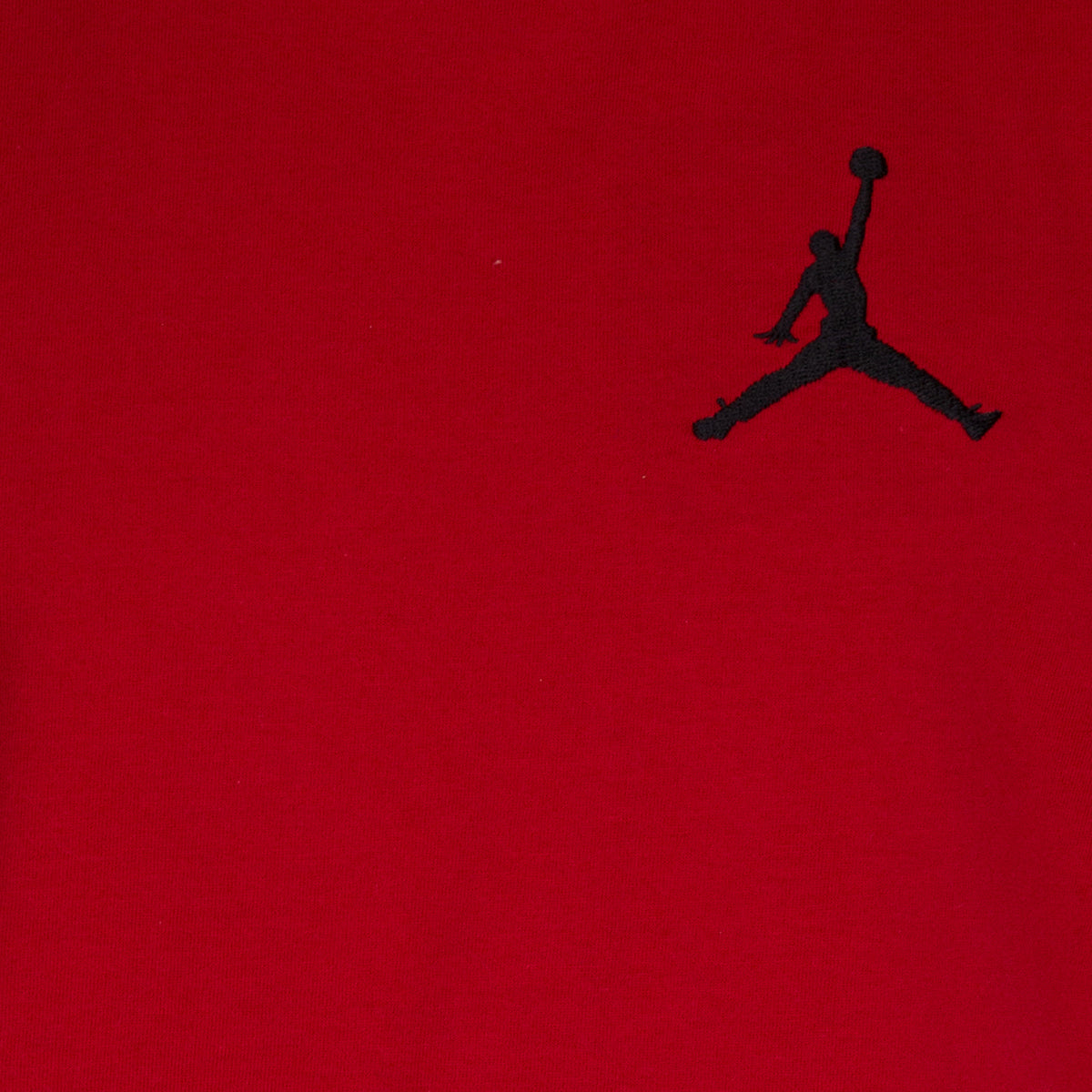 JUMPMAN AIR EMBROIDERY