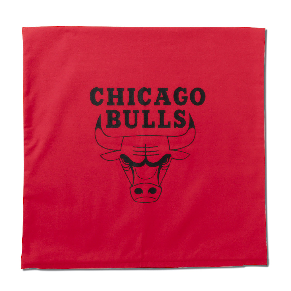 NBA x AKTR CUSHION COVER