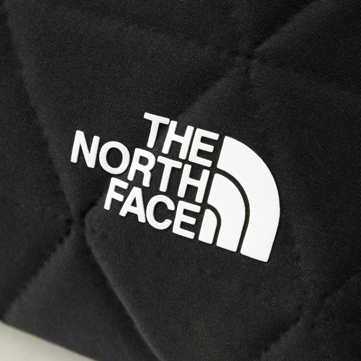 THE NORTH FACE GEOFACE POUCH
